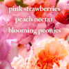 Gingham Gorgeous kehasprei 75ml - Image 3
